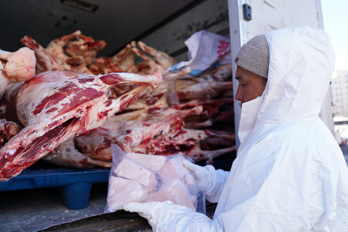 Pasture-raised livestock show 60-70% average carcass yield